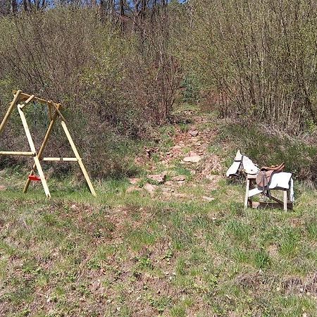 Ferienwohnung Sonnenhang Rudenau Экстерьер фото