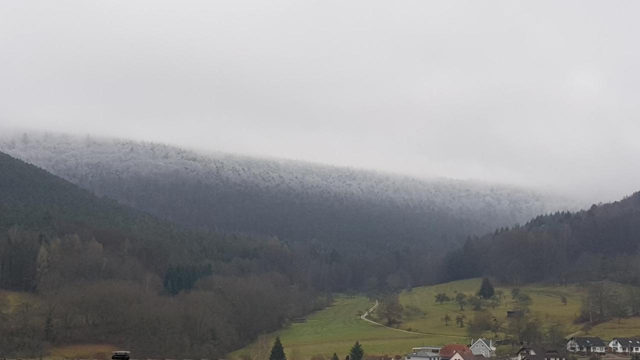 Ferienwohnung Sonnenhang Rudenau Экстерьер фото